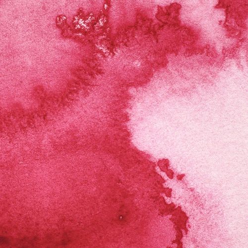 Winsor & Newton Professional Watercolours Whole Pan Permanent Rose