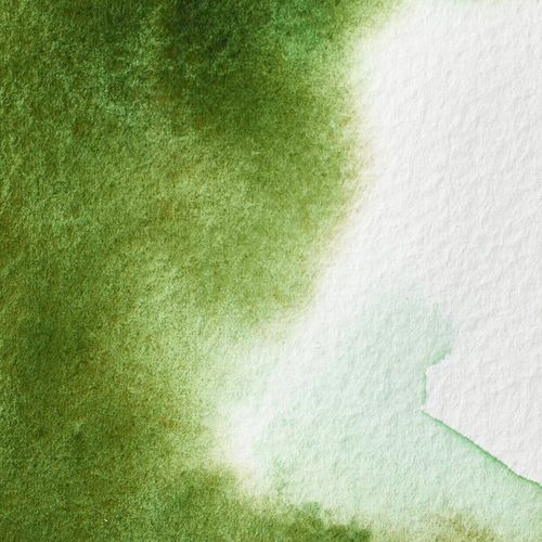 Winsor & Newton Professional Watercolours 14ml Tube Permanent Sap Green