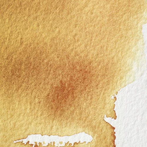 Winsor & Newton Professional Watercolours Half Pan Transparent Gold Deep
