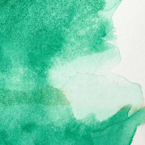 Winsor & Newton Professional Watercolours 5ml Tube Winsor Green (Yellow Shade)
