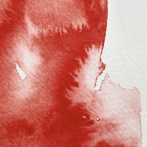 Winsor & Newton Professional Watercolours Whole Pan Winsor Red