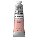 Winsor & Newton Winton Oils 37ml Tube Pale Rose Blush preview