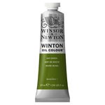 Winsor & Newton Winton Oils 37ml Tube Sap Green preview