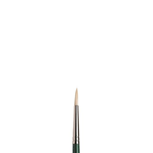 Winton Hog Round Oil Brushes 3