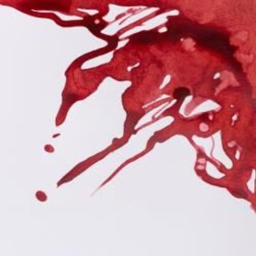 Winsor & Newton Drawing Inks 14ml Bottles Brick Red