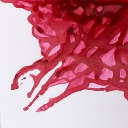 Winsor & Newton Drawing Inks 14ml Bottles Deep Red