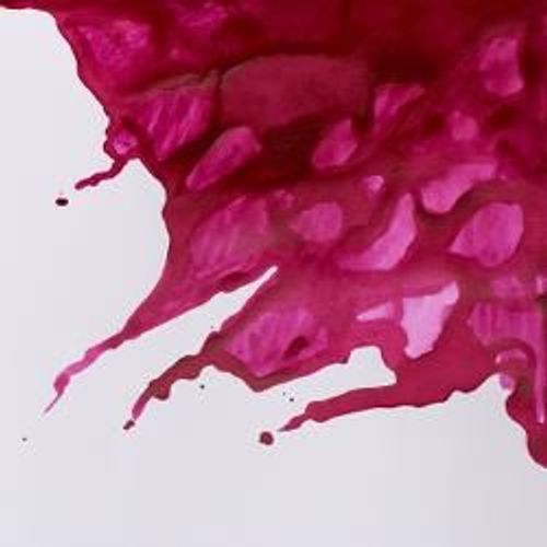 Winsor & Newton Drawing Inks 14ml Bottles Purple