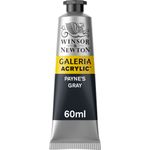 Winsor & Newton Galeria Acrylics 60ml Tube Payne's Gray preview