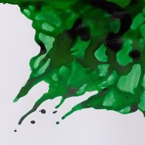 Winsor & Newton Drawing Inks 14ml Bottles Brilliant Green