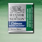 Winsor & Newton Cotman Watercolour Paint Half Pan Hooker's Green Dark preview