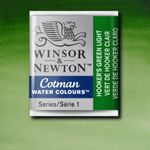 Winsor & Newton Cotman Watercolour Paint Half Pan Hooker's Green Light preview