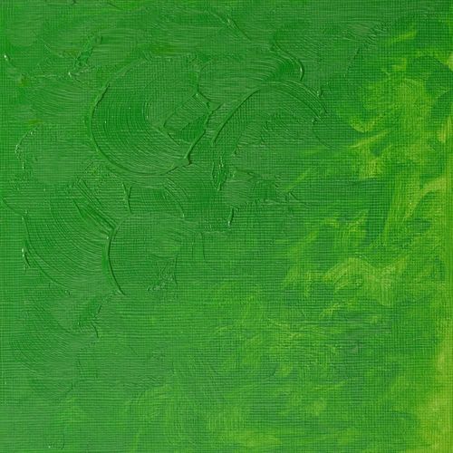 Winsor & Newton Winton Oils 200ml Tube Permanent Green Light