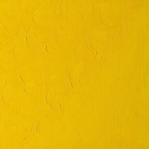 Winsor & Newton Winton Oils 200ml Tube Cadmium Yellow Pale Hue