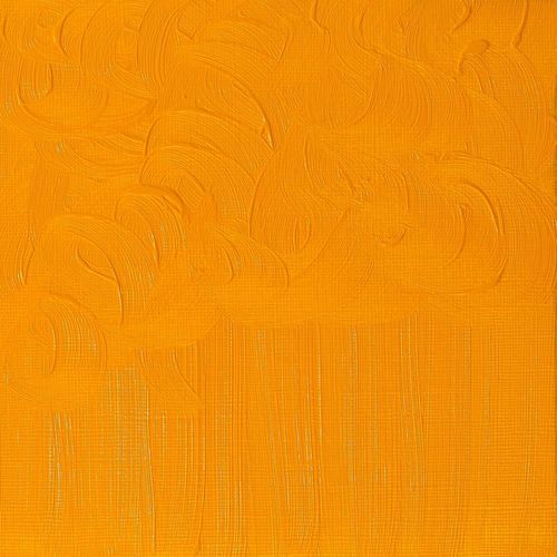 Winsor & Newton Winton Oils 37ml Tube Cadmium Yellow Hue