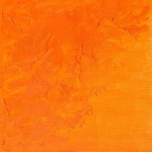 Winsor & Newton Winton Oils 37ml Tube Cadmium Orange Hue