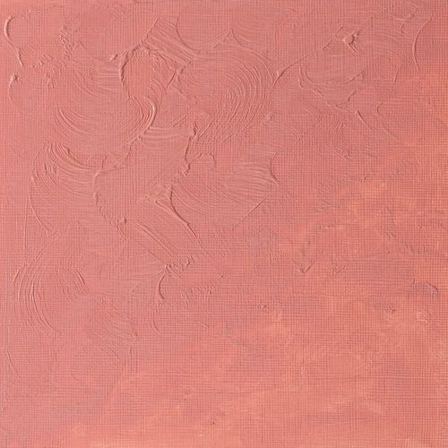 Winsor & Newton Winton Oils 37ml Tube Pale Rose Blush