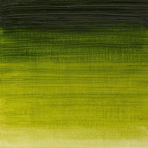 Winsor & Newton Winton Oils 37ml Tube Sap Green
