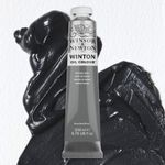 Winsor & Newton Winton Oils 200ml Tube Payne's Gray preview