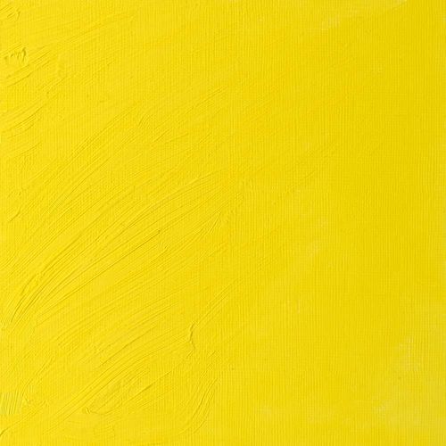 Winsor & Newton Artists' Oil Paint 37ml Tube Bismuth Yellow