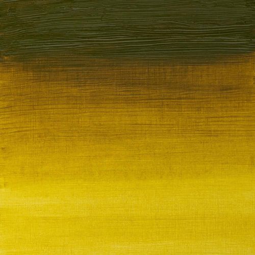 Winsor & Newton Artists' Oil Paint 37ml Tube Green Gold