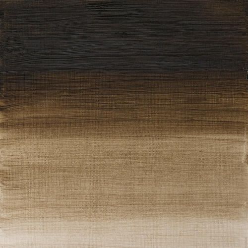Winsor & Newton Artists' Oil Paint 37ml Tube Raw Umber (Green Shade)