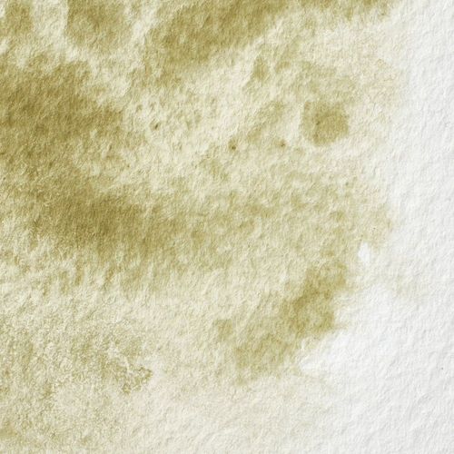 Winsor & Newton Professional Watercolours Half Pan Terre Verte (Yellow Shade)
