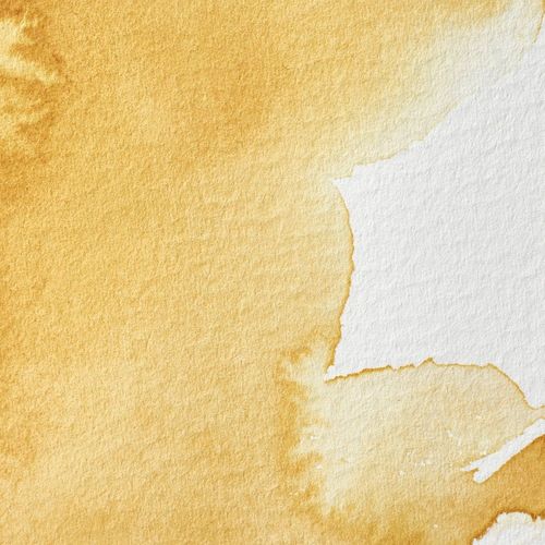 Winsor & Newton Professional Watercolours Half Pan Yellow Ochre Light