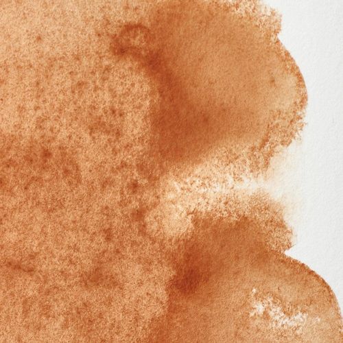 Winsor & Newton Professional Watercolours 5ml Tube Brown Ochre
