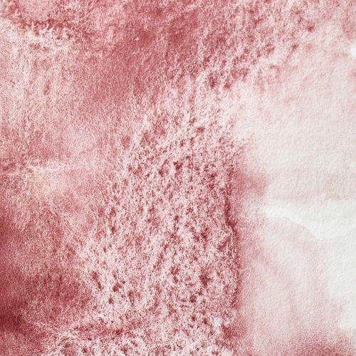 Winsor & Newton Professional Watercolours Whole Pan Potters Pink