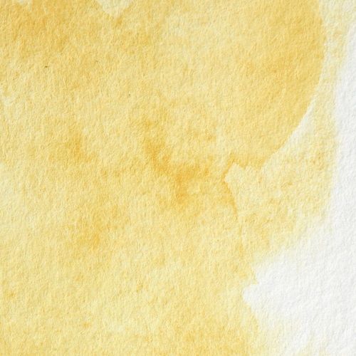 Winsor & Newton Professional Watercolours 14ml Tube Turners Yellow
