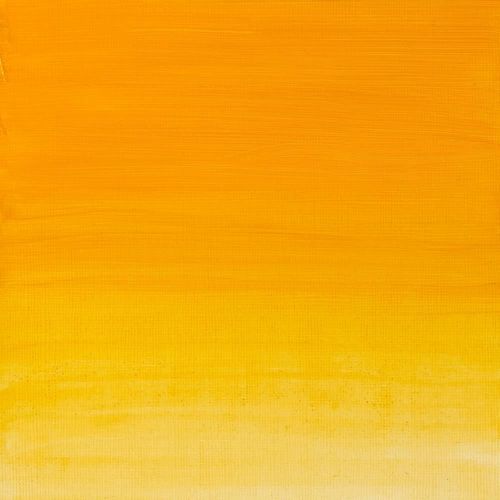 Artisan Water Mixable Oils 37ml Tube Cadmium Yellow Hue