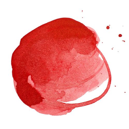 Liquitex Professional Acrylic Inks Naphthol Crimson