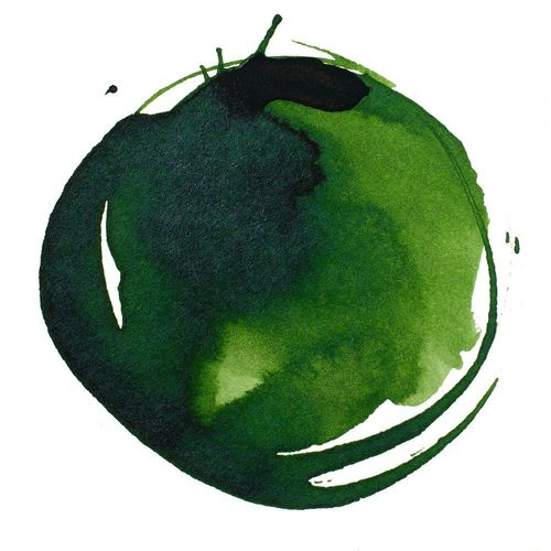 Liquitex Professional Acrylic Inks Sap Green Permanent