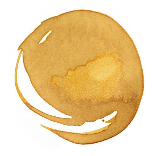 Liquitex Professional Acrylic Inks Transparent Raw Sienna