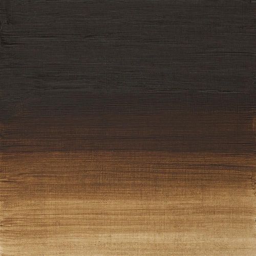 Winsor & Newton Artists' Oil Paint 200ml Tube Raw Umber