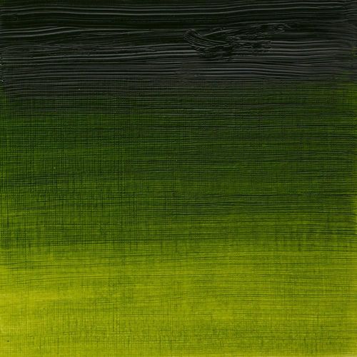 Winsor & Newton Artists' Oil Paint 200ml Tube Sap Green