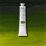 Winsor & Newton Artists' Oil Paint 200ml Tube Sap Green preview