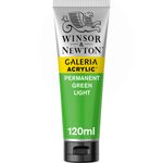 Winsor & Newton Galeria Acrylics 120ml Tube Permanent Green Light preview