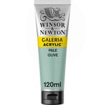 Winsor & Newton Galeria Acrylics 120ml Tube Pale Olive preview