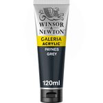 Winsor & Newton Galeria Acrylics 120ml Tube Payne's Gray preview