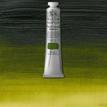 Winsor & Newton Professional Acrylics 200ml Tube Permanent Sap Green preview