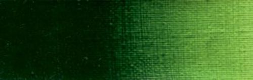 Rosa Gallery Artists’ Oil Colour 45ml Sap Green