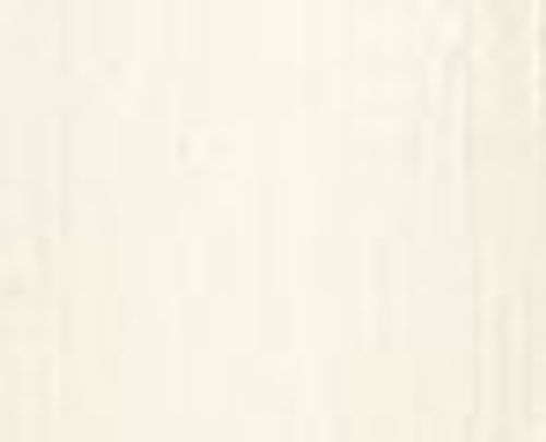 Michael Harding Artists Oil Paint 40ml Warm Lead White Alternative