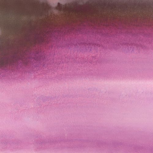 Schmincke Horadam Aquarell Signature Edition Watercolour Paint Wild Purple
