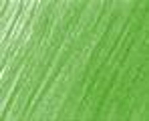 Faber-Castell Polychromos Artists Colour Pencils Juniper Green