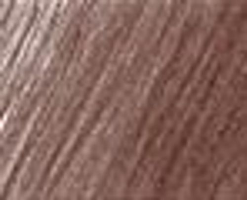 Faber-Castell Polychromos Artists Colour Pencils Walnut Brown