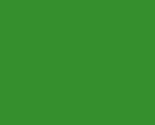 Caran d'Ache Studio Gouache 10ml Tubes Emerald Green
