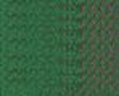 Caran d'Ache Pastel Pencils Moss Green