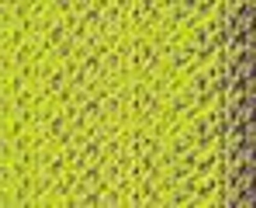Caran d'Ache Pastel Pencils Mid Moss Green 10pc