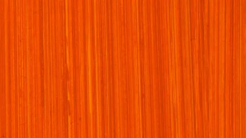 Michael Harding Artists Oil Paint 40ml NEW Brilliant Orange